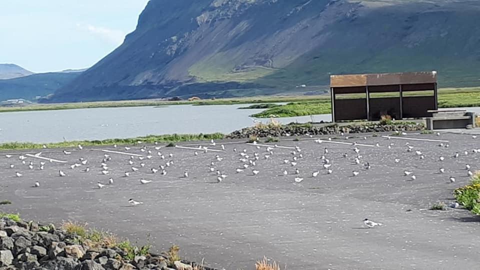 Ólafsvík 自行车手天堂旅馆酒店 外观 照片